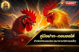 คู่มือฝาก–ถอนออโต้