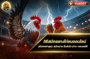 วิธีสมัครแทงไก่ชนออนไลน์