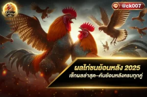 ผลไก่ชนย้อนหลัง 2025
