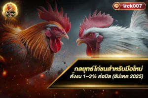 กลยุทธ์ไก่ชนสำหรับมือใหม่