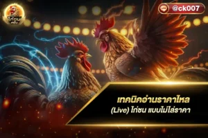 เทคนิคอ่านราคาไหล (Live)
