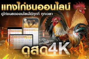 ทำไมต้องดูไก่ชนสดออนไลน์