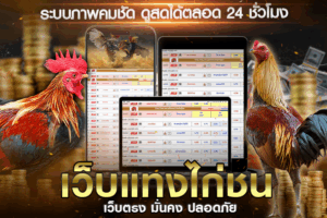 วิธีเริ่มต้นแทงไก่ชนกับเว็บตรง