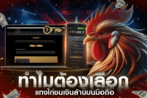 ทำไมต้องเลือกแทงไก่ชนเงินล้านบนมือถือ